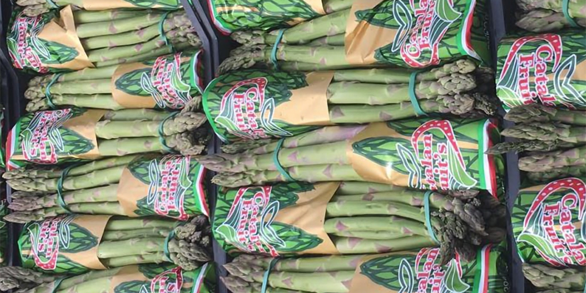 Asparago campano: positivo l'avvio di stagione